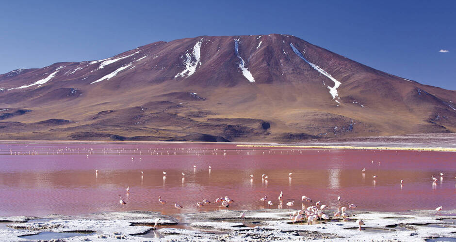 An der Laguna Colorada 