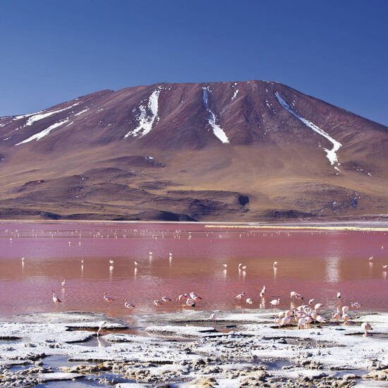 An der Laguna Colorada 