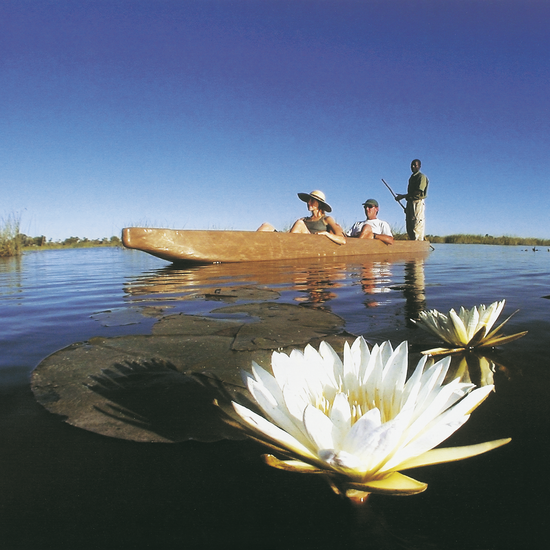 Ausflug im Mokoro im Okavango-Delta 