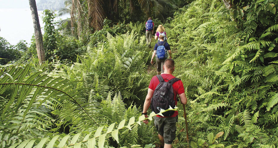 Dschungelwanderung auf Sao Tomé e Principe 