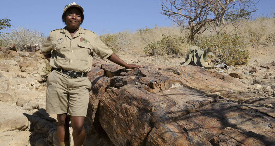 Lokale Führerin, Versteinerter Wald 