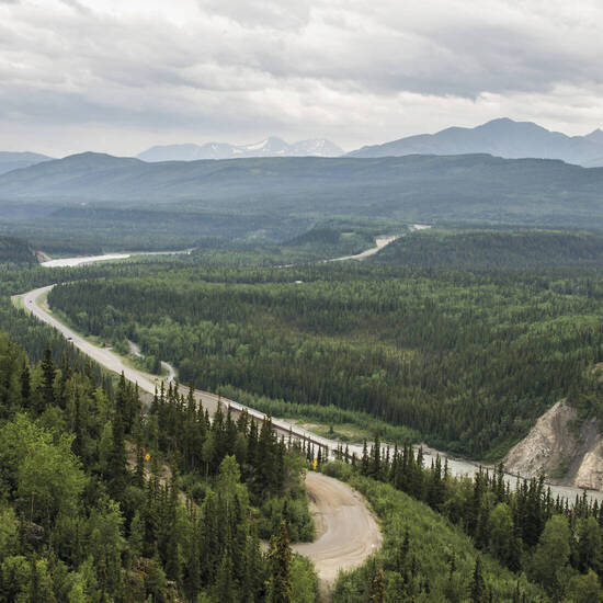 Unterwegs am Denali-Nationalpark 