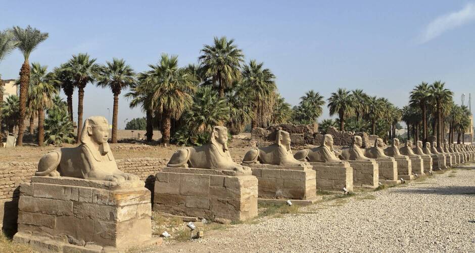 Sphinx-Allee in Luxor 