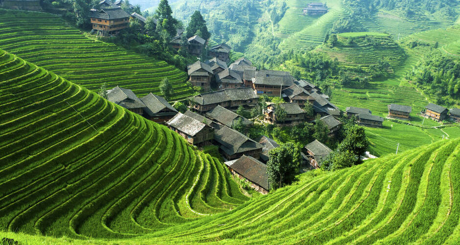 Farbenprächtige Reisfelder bei Longsheng, China 