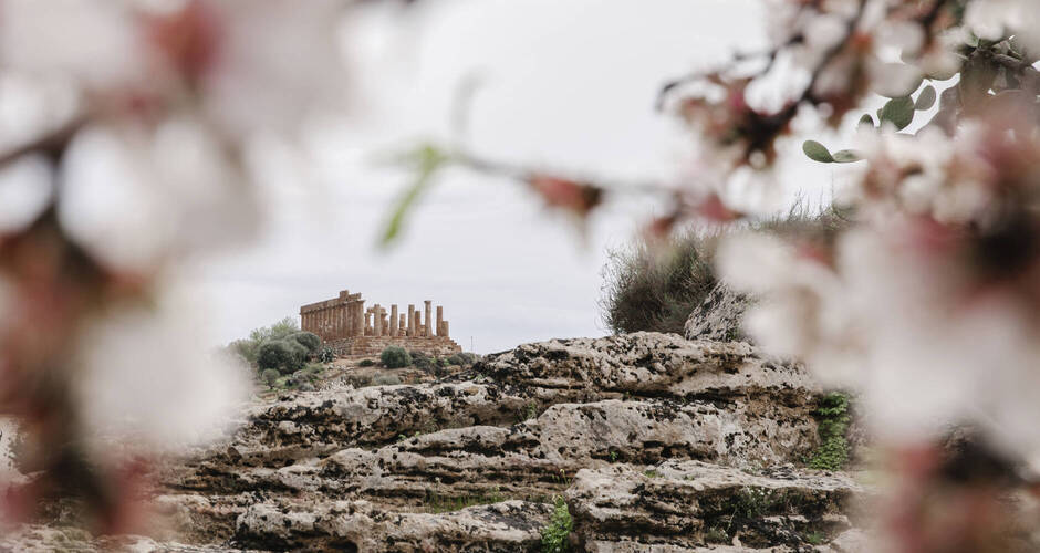 Griechischer Tempel Juno umgeben von blühenden Mandelzweigen. Agrigento, Sizilien, Italien. 