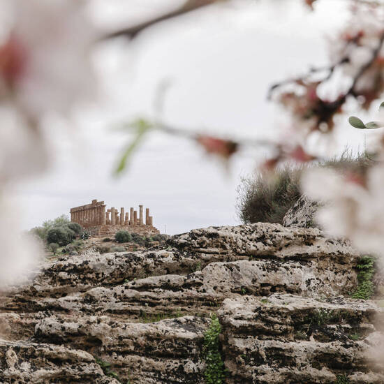 Griechischer Tempel Juno umgeben von blühenden Mandelzweigen. Agrigento, Sizilien, Italien. 