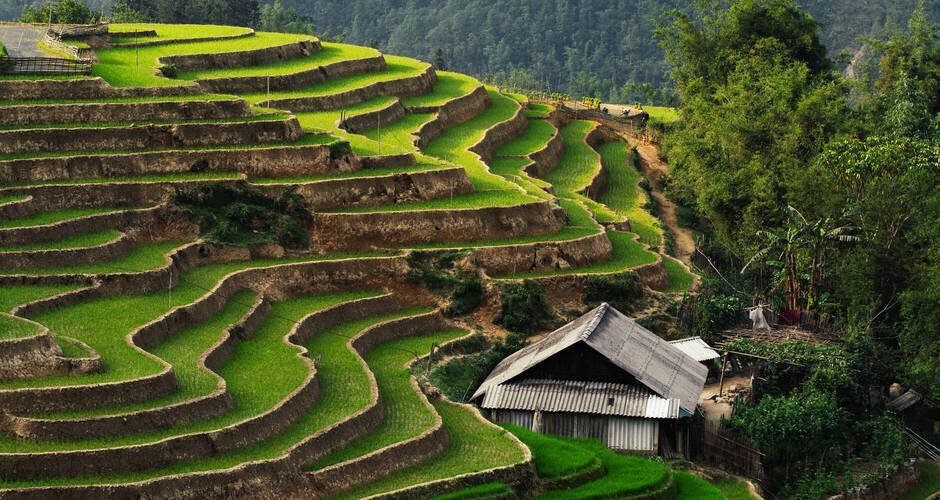 Reisterrassen von Sapa © oleksii.leonov - stock.adobe.com