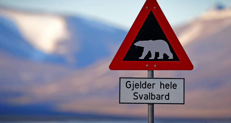 Verkehrsschild mit "Vorsicht vor Eisbären“ © ondrejprosicky - stock.adobe.com