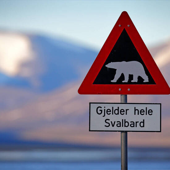 Verkehrsschild mit "Vorsicht vor Eisbären“ © ondrejprosicky - stock.adobe.com