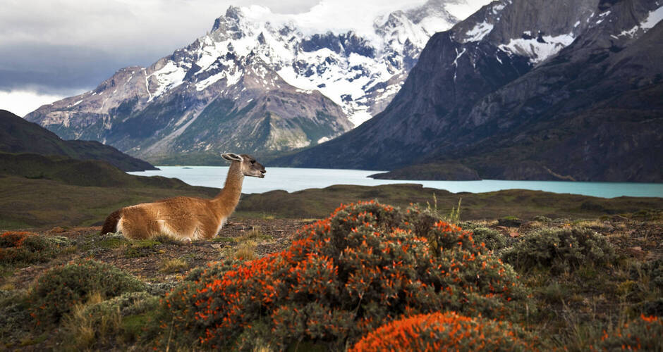 Traumhaftes Patagonien-Panorama 