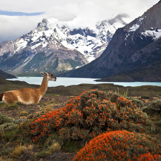 Traumhaftes Patagonien-Panorama 