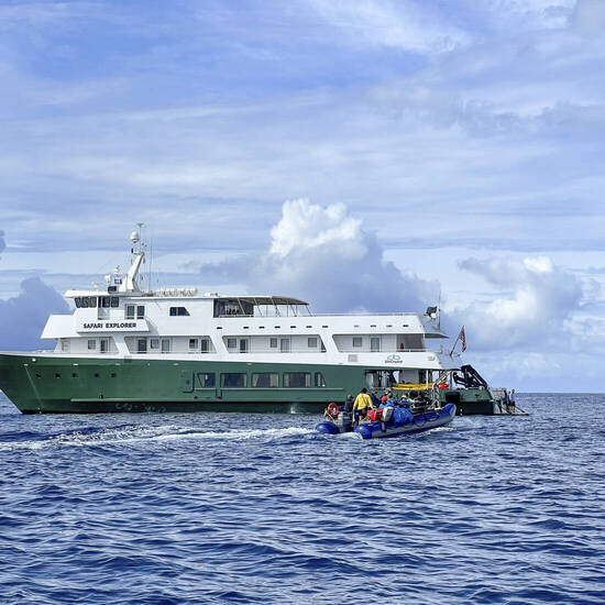 Safari Explorer Un Cruise