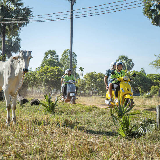 mit Vespas übers Land 
