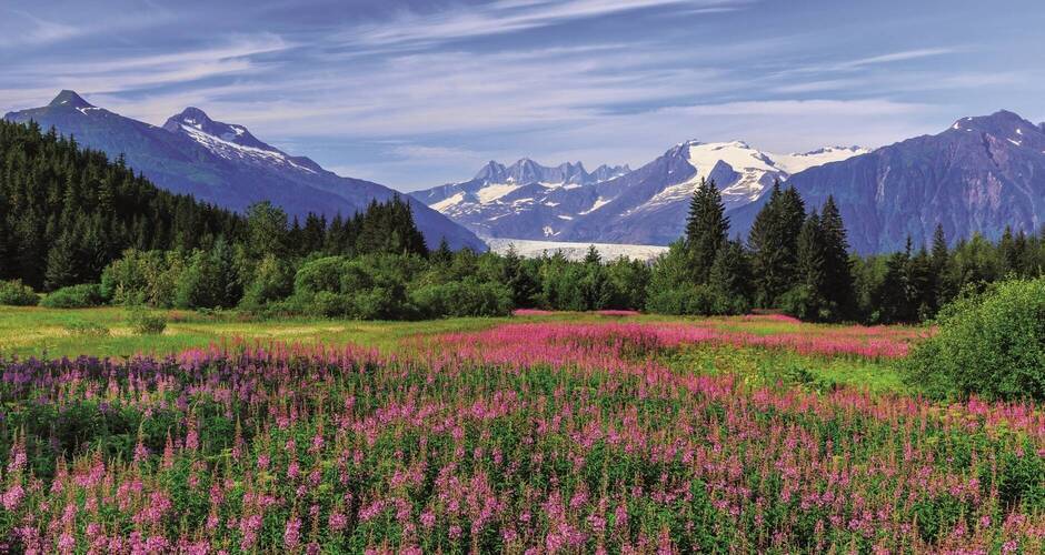 Alaska: Idyllische Bergszenerie 