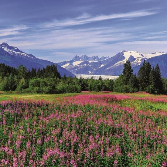Alaska: Idyllische Bergszenerie 