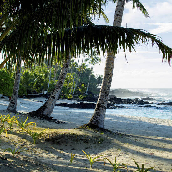 Unberührte Küste von Upolu, Samoa 