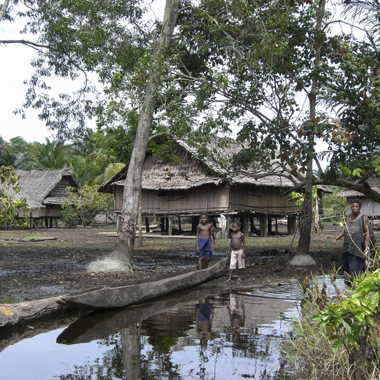 Ursprüngliche Dörfer am Ufer des Sepik 