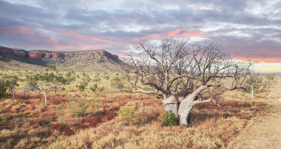 Umgebung von El Questro, Kimberley, Westaustralien 