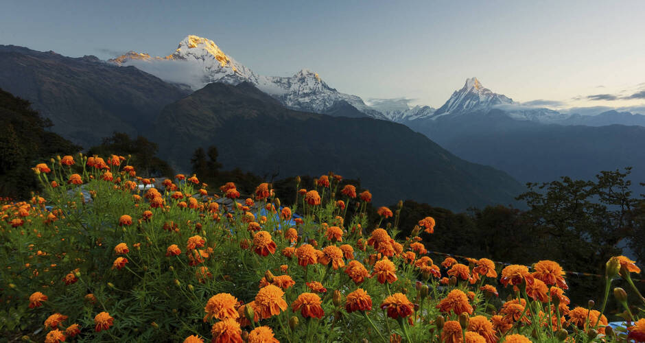 Sonnenaufgang über dem Annapurna-Massiv 