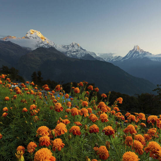 Sonnenaufgang über dem Annapurna-Massiv 